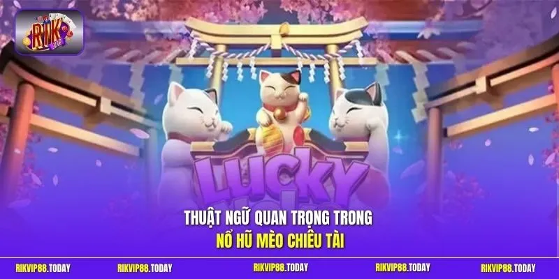 Nổ Hũ Mèo Chiêu Tài | Rước Lộc Vào Nhà Săn Jackpot Cực Đỉnh 2 Sunwin Thuật ngữ quan trọng trong nổ hũ Mèo Chiêu Tài
