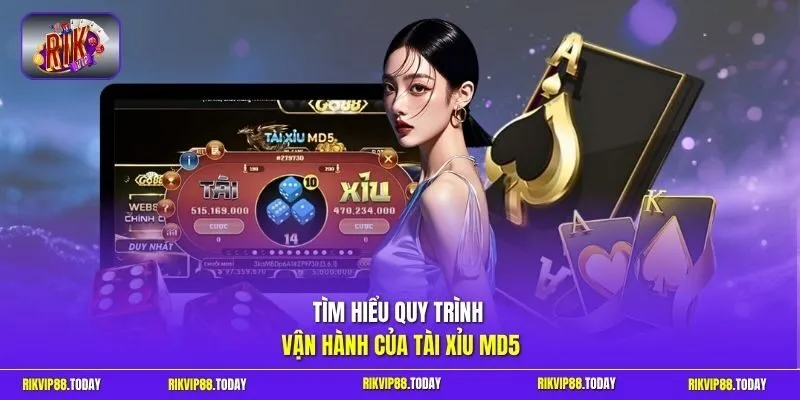 Tài Xỉu MD5 | Xanh Chín Tuyệt Đối Thưởng Khủng Cực Đỉnh 10 Sunwin Tìm hiểu quy trình vận hành của tài xỉu MD5